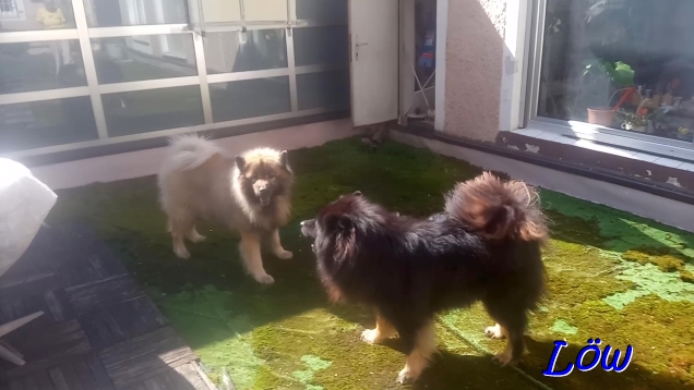 21.4.2025 - Abschiedsspiel auf dem Dachgarten